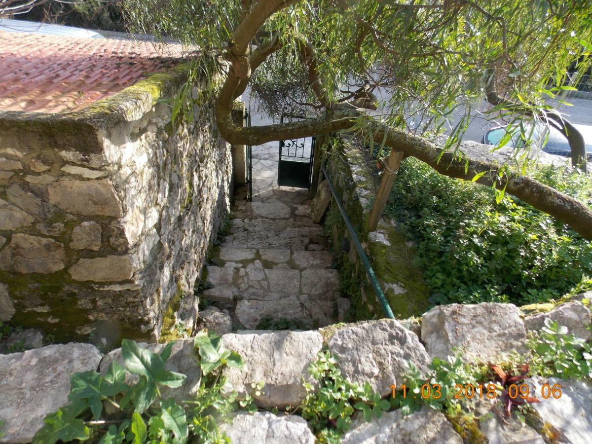Almond Trees Cottage Divarata Екстер'єр фото